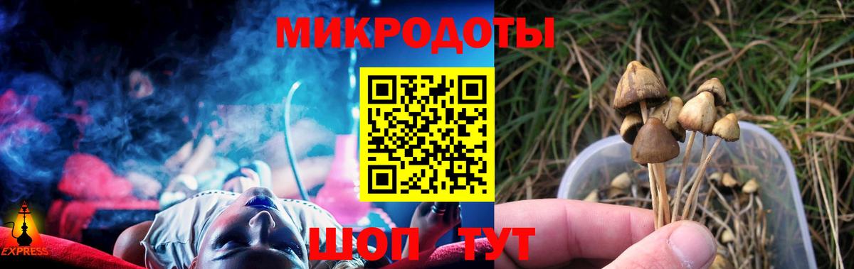 Норильск  Галлюциногенные грибы мицелий  Псилоцибиновые грибы Psilocybe  Вход с VPN 